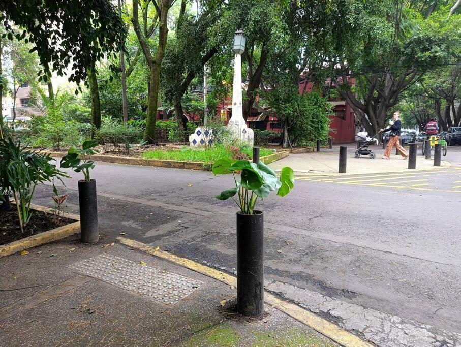 Apartment Ave Amsterdam 2br At Parque Mexico!